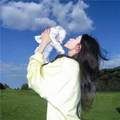 阿里,山羊与阿伯拉希姆 在线观看封面